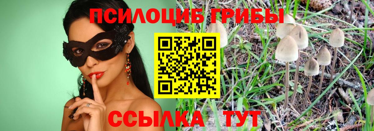 Псилоцибиновые грибы Magic Shrooms  Вход с VPN  Киселёвск 